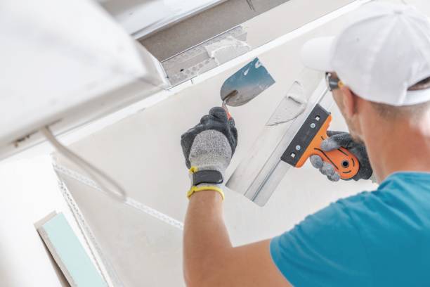  Lake Ripley, WI Drywall & Painting Services Pros